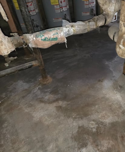 Attic Moisture Restoration 1 Reno-Tahoe