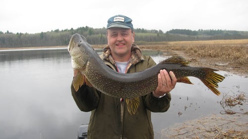 Man Holding a Large Fish