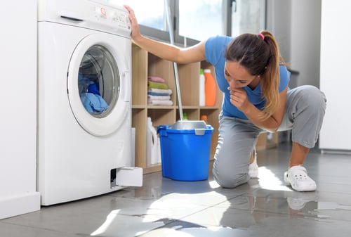water damage north carolina