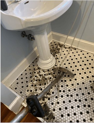 sewage damage