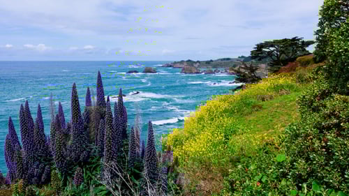 green covered mountains over looking water