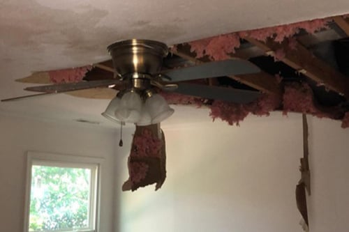 A damaged ceiling with exposed insulation is shown next to a ceiling fan after a water damage loss in a home in Myrtle Baech.