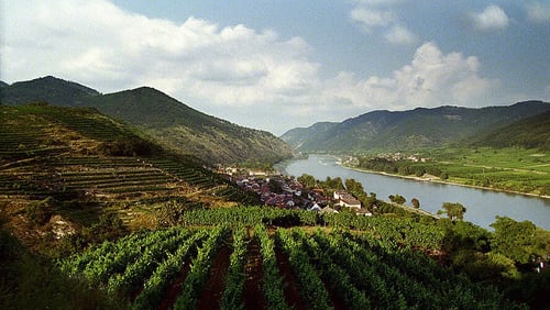 Weinbau Kropf in 3610 Weißenkirchen in der Wachau
