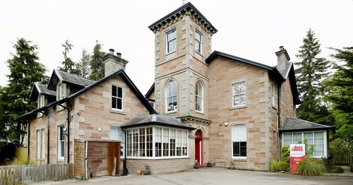Busy Bees in Inverness - Gallery Photo