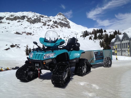 Arctic Cat 1000