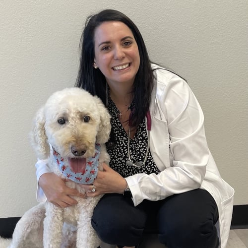 Dr. D'intino with dog