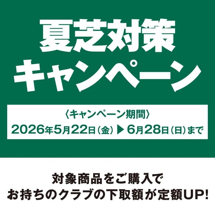 6月28日(日)まで