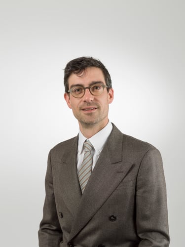 Raffaele De Vecchi Anwalt