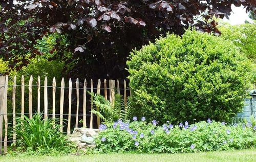 Landschaftsgestaltung, Gartenbau, Rasenpflege, Pflanzenanbau, Heckenbeschnitt, Gartendesign, Bodenbearbeitung, Bewässerungssysteme, Baumfällung, Rasenmähen, Düngung, Gartenbeleuchtung, Teichbau, Terrassenbau, Natursteinarbeiten, Unkrautbekämpfung, Laubbeseitigung, Vertikutieren, Bepflanzung, Gartenpflege.