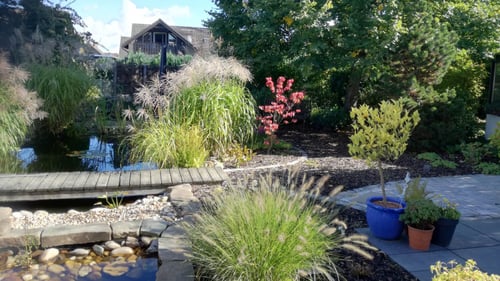Grasland Gartengestaltung