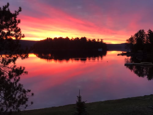 A lake at sunset with trees silhouetted against the sky along the shoreline.
