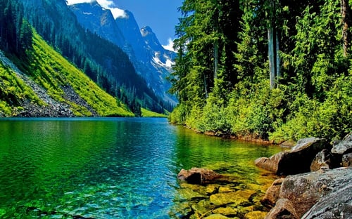 Lakefront, surrounded by trees and mountains.