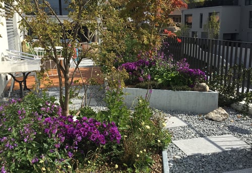 Dachterrasse Hochbeet - Salathé Rentzel Gartenkultur AG, Bahnhofstrasse 4, CH-4104 Oberwil