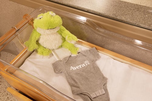 A bassinet with a green frog stuffed toy and an Avera baby onesie.