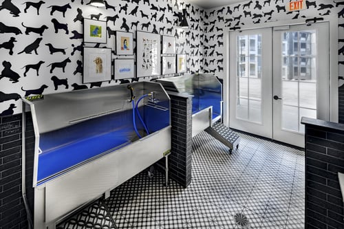 Pet Spa at Folksong Apartments, Flowery Branch, GA, 30542