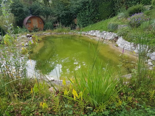 Baggerbetrieb Hasenfratz AG