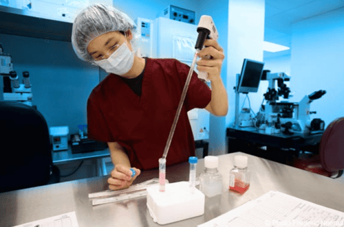 The Fertility Institutes