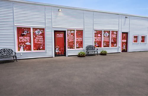 Mush Love Magic Mushroom Dispensary