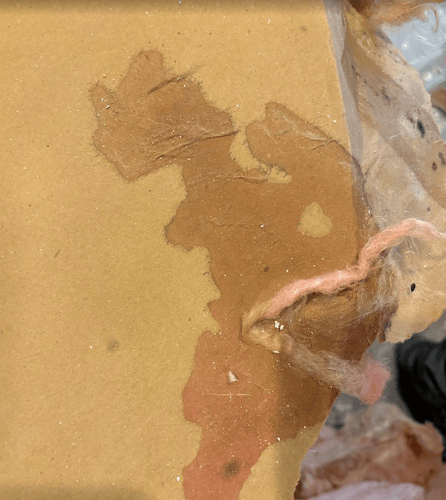 Water Damage Restoration 1 Reno-Tahoe