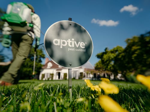 Aptive pest control service