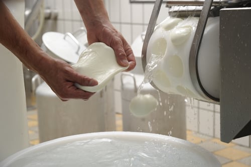Mozzarella-Produktion