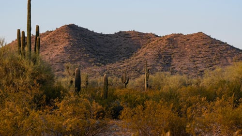 Exclusive gated community nestled in the foothills of San Tan Mountains
