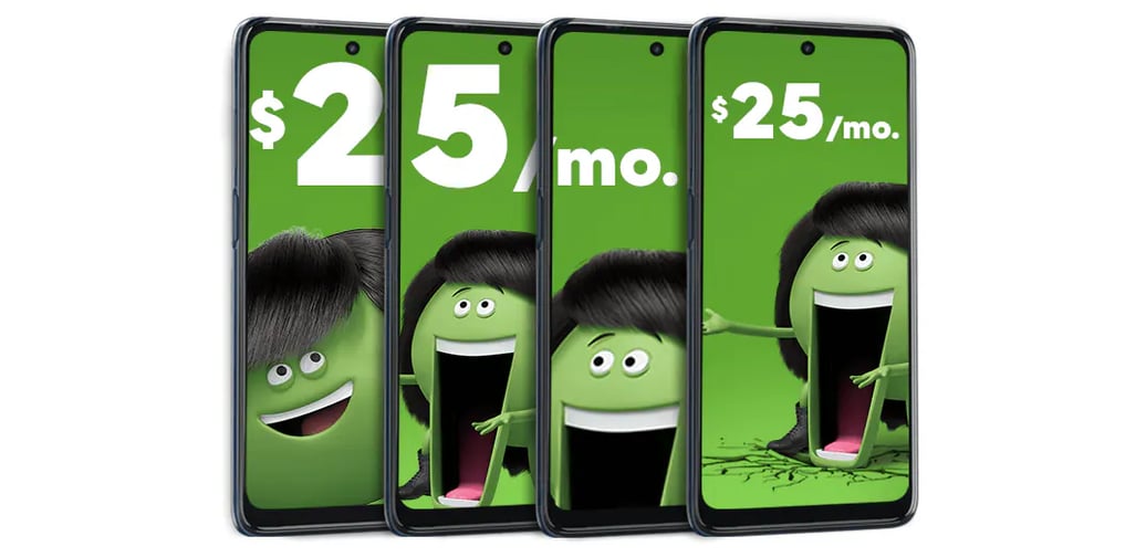 $25 a month