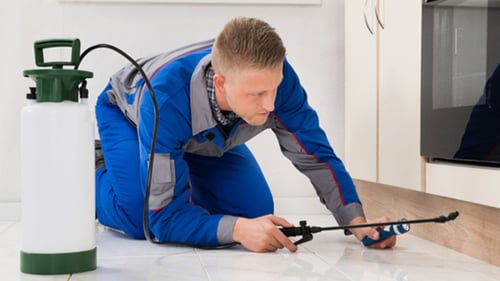 man performing pest control services