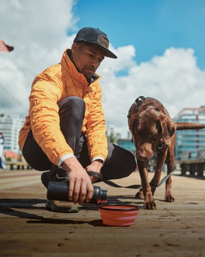 Man giving water to a dog