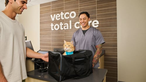 cat in carrier next to vet and owner