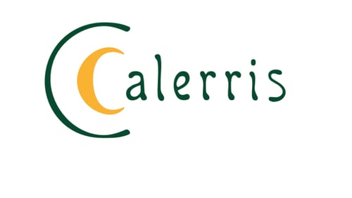 Willkommen bei Calerris, Ihrem Mineralienfachgeschäft in München. Entdecken Sie die Schönheit von Edelsteinen und Kristallen in unserem Laden.
