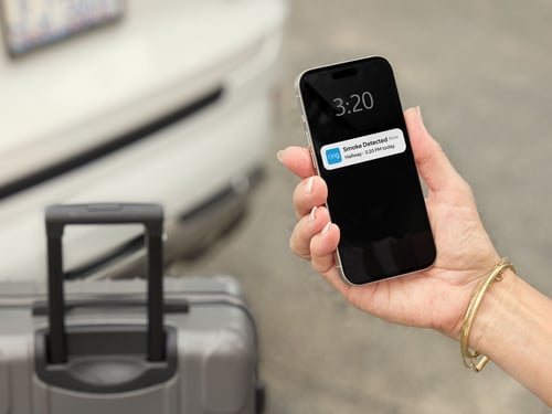 A person checks their phone for a notification from their Ring App.