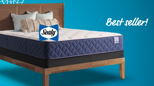Spring Home Sale Sealy Safa Park Firm Queen Mattress $499