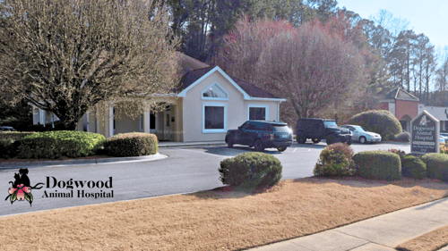 Dogwood Animal Hospital exterior