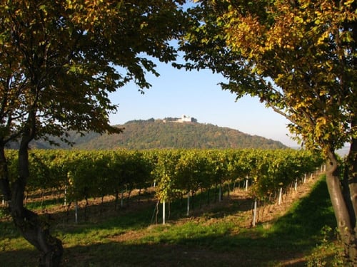 ÖTK-Sektion Klosterneuburg