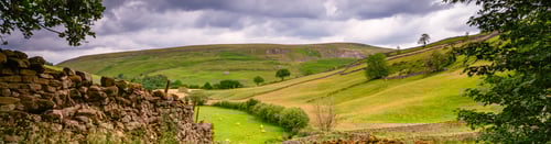 Knight Frank Yorkshire Estate Agents - office page banner image