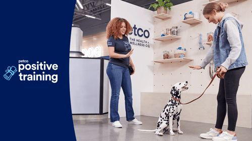 Petco Dog Training | Positive Training