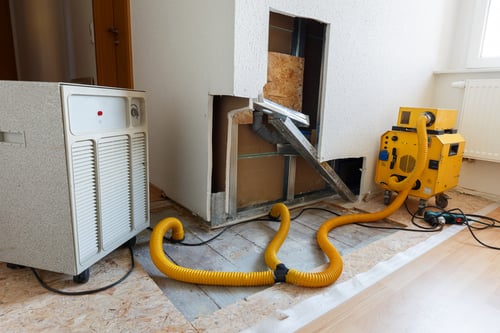 water or mold damage impacts
