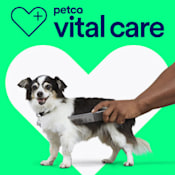 Vital Care