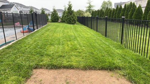 Lawn care services. Rochester, NY