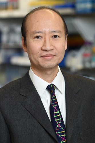 Stephen H Tsang, MD, PhD