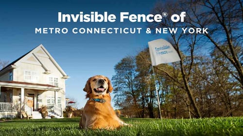 Invisible Fence of Metro Connecticut and New York