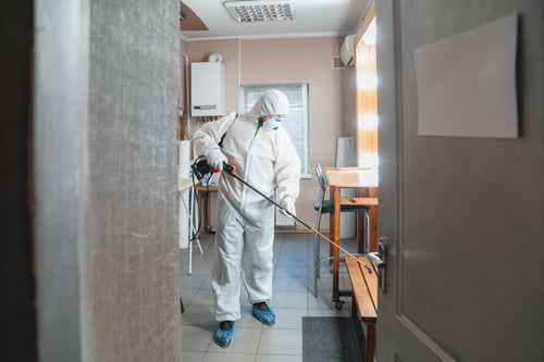 Mold Removal And Mold Remediation Kansas City