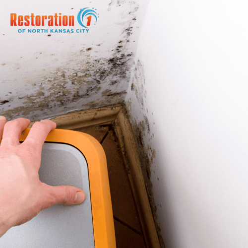 A hand lifts a picture frame to reveal a large patch of black mold growing on the drywall of a Kansas City home.