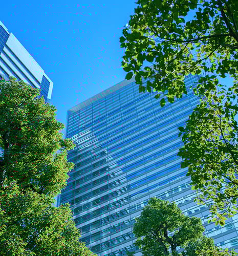 Modern glass skyscraper with reflections, surrounded by lush green tree foliage against a clear blue sky, conveying a sense of urban tranquility.