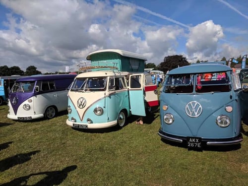 volkswagen camper vans in field