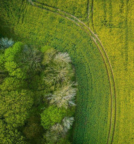 Lethbridge Aerial landscape