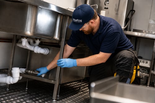 bluefrog plumber inspecting and servicing a grease trap beneath a commercial kitchen sink