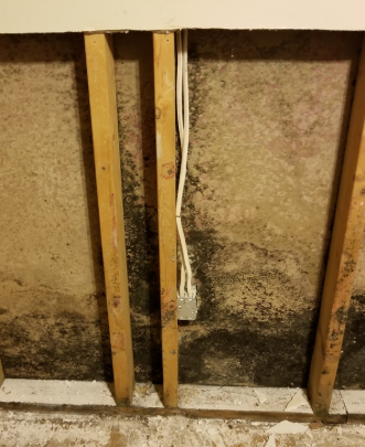 Hidden Molds Restoration 1 Reno-Tahoe