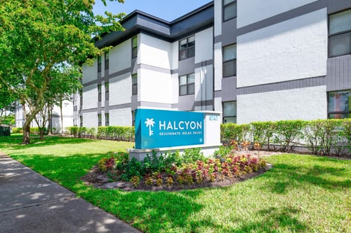 Halcyon Google Cover Photo